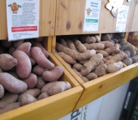 Gospersgrüner Kartoffeln